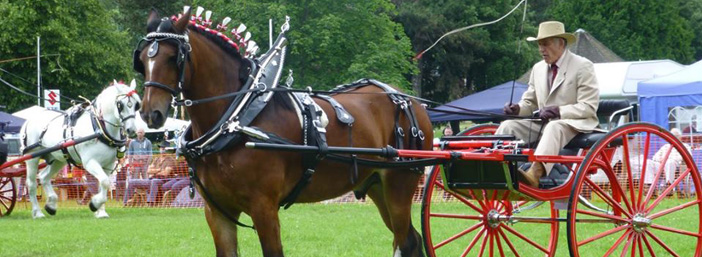 South Wales Shire Horse Show