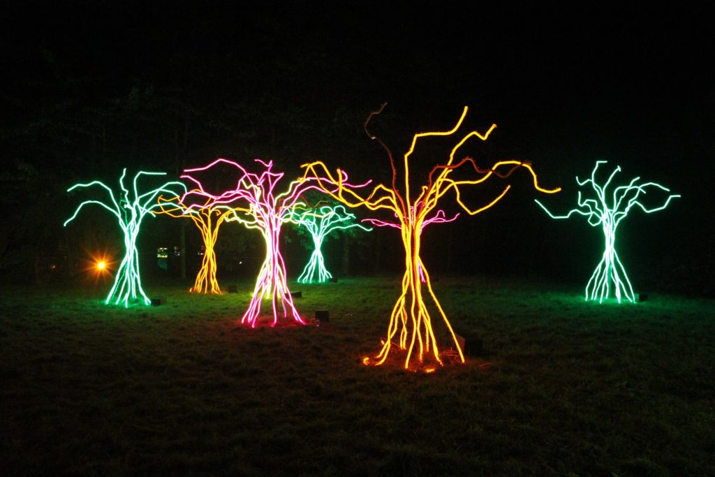 Neon trees illuminate the darkness