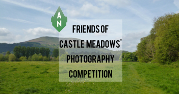 Friends of castle Meadows Photography Competition