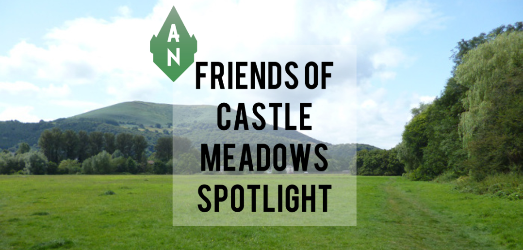 Friends of castle Meadows Spotlight