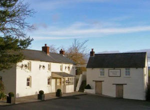 The Walnut Tree